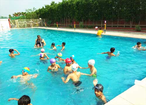 swin-arden