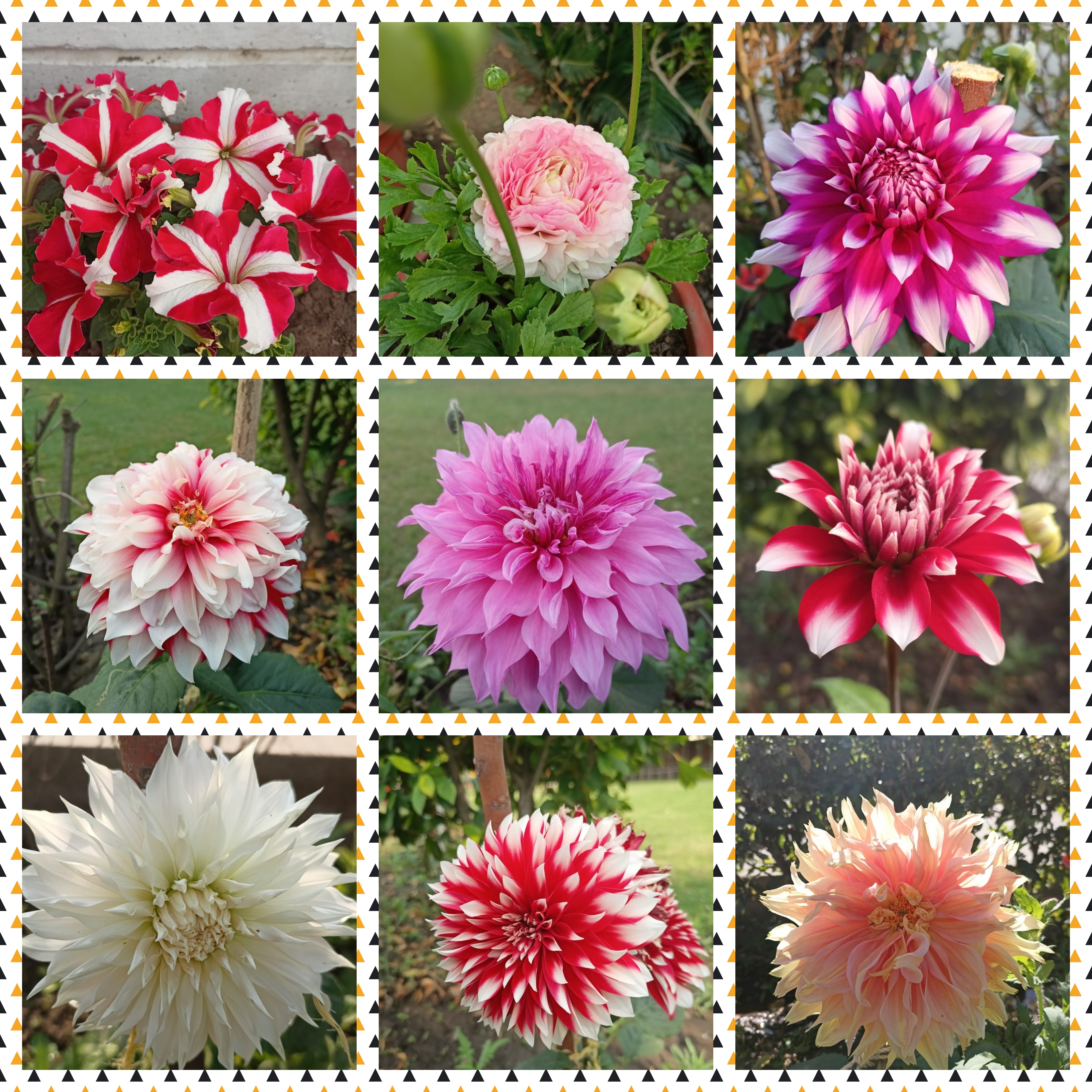 flickr